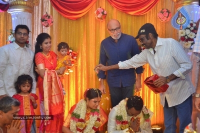 Producer M Ramanathan Daughter Wedding Photos - 10 of 12