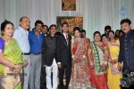 Producer Paras Jain Daughter Wedding Photos - 40 of 27