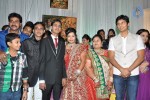 Producer Paras Jain Daughter Wedding Photos - 23 of 27