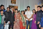 Producer Paras Jain Daughter Wedding Photos - 27 of 27