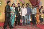 Producer Swaminathan Son Wedding Reception - 7 of 89