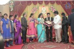 Producer Swaminathan Son Wedding Reception - 12 of 89