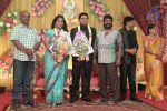 Producer Swaminathan Son Wedding Reception - 35 of 89