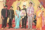 Producer Swaminathan Son Wedding Reception - 54 of 89
