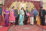 Producer Swaminathan Son Wedding Reception - 55 of 89
