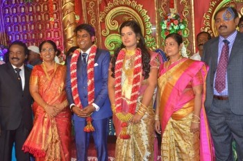 Producer Vinoth Kumar and Sindhu Wedding Reception - 3 of 42