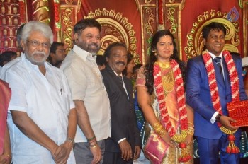 Producer Vinoth Kumar and Sindhu Wedding Reception - 17 of 42