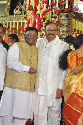 Puskur Rammohan Rao Daughter Wedding Photos - 3 of 47