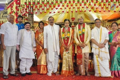 Puskur Rammohan Rao Daughter Wedding Photos - 4 of 47
