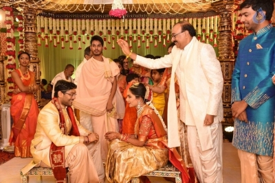 Puskur Rammohan Rao Daughter Wedding Photos - 11 of 47