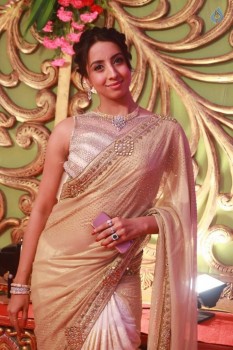 Radhika Daughter Rayane and Mithun Wedding Photos - 41 of 54
