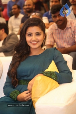 Radio City Cine Awards Curtain Raiser 2017 - 32 of 33