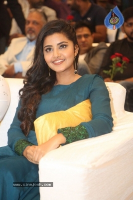 Radio City Cine Awards Curtain Raiser 2017 - 33 of 33