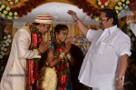 Raghavendra Reddy Daughter Marriage Photos - 17 of 17