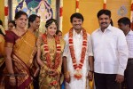 Raj TV Family Marriage Photos - 11 of 31