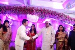 Raja and Amritha Marriage Reception Photos - 15 of 78