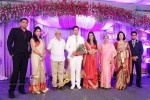 Raja and Amritha Marriage Reception Photos - 22 of 78