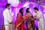 Raja and Amritha Marriage Reception Photos - 28 of 78