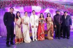 Raja and Amritha Marriage Reception Photos - 65 of 78