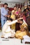 Rambabu Varma Daughter Marriage Photos - 37 of 38