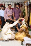 Rambabu Varma Daughter Marriage Photos - 40 of 38