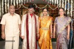Rambabu Varma Daughter Marriage Photos - 25 of 38