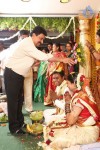 Rambabu Varma Daughter Marriage Photos - 19 of 24