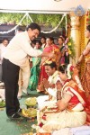 Rambabu Varma Daughter Marriage Photos - 20 of 24