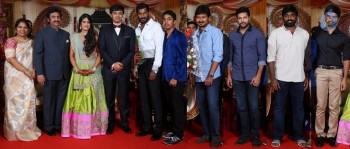 Raviprasad Grand Daughter Wedding Photos - 26 of 34