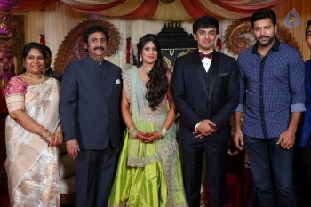 Raviprasad Grand Daughter Wedding Photos - 28 of 34