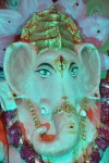 Regina at Big Green Ganesha 2014 - 65 of 108