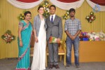 Reporter Anupama Subramanian Son Wedding Reception  - 48 of 107