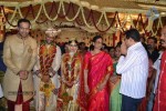 Sabitha Indra Reddy Son Marriage Photos - 3 of 81