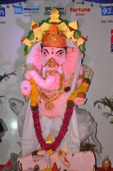Sai Dharam Tej at BIG Green Ganesha - 10 of 15
