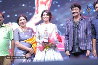 Santosham Awards 2019 - 33 of 38
