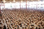 Sathya Sai Baba Maha Samadhi Photos - 17 of 59