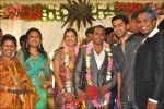 Senthil Son Wedding Reception Photos - 26 of 88