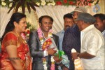 Senthil Son Wedding Reception Photos - 31 of 88