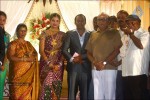 Senthil Son Wedding Reception Photos - 35 of 88