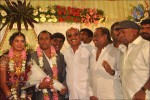Senthil Son Wedding Reception Photos - 36 of 88