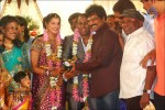 Senthil Son Wedding Reception Photos - 40 of 88