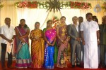 Senthil Son Wedding Reception Photos - 59 of 88