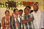 Senthil Son Wedding Reception Photos - 78 of 88