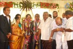 Senthil Son Wedding Reception Photos - 79 of 88