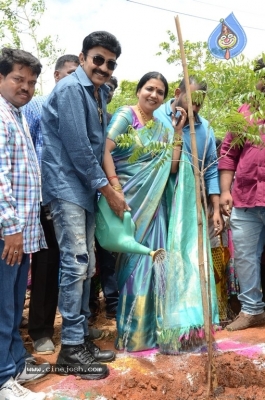 Shivani Birthday Celebrations - 1 of 42