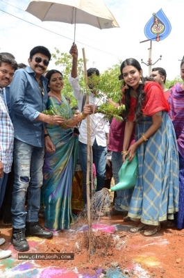 Shivani Birthday Celebrations - 4 of 42