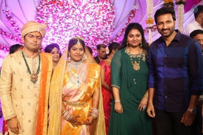 Shyam Prasad Reddy Daughter Wedding Photos 3 - 72 of 84