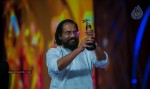 SIIMA 2013 Awards Day2 Photos 02 - 13 of 156