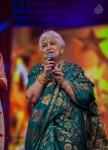 SIIMA 2013 Awards Day2 Photos 02 - 72 of 156