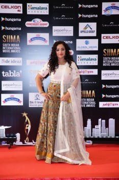 SIIMA 2016 Awards Photos - 1 of 25